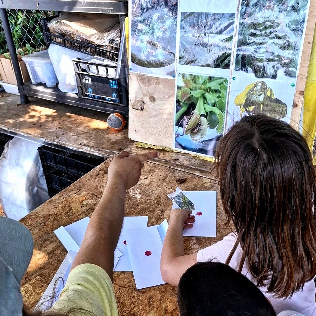 Laboratorio naturalistico all'aperto con bambini e materiali botanici