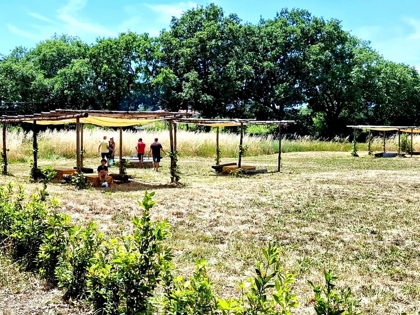 Campo aperto con pergole in legno a Graceland, sul lago di Bracciano